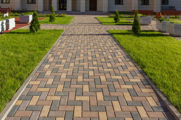 Best Driveway Paving Contractor  in Lander, WY